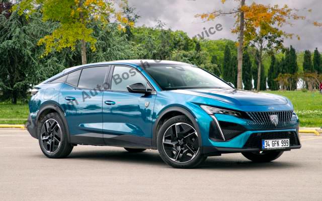 Bosch Kalitesi ile Peugeot Servis Hizmetleri